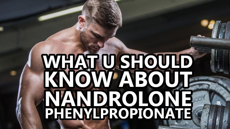 What You Should Know About NPP