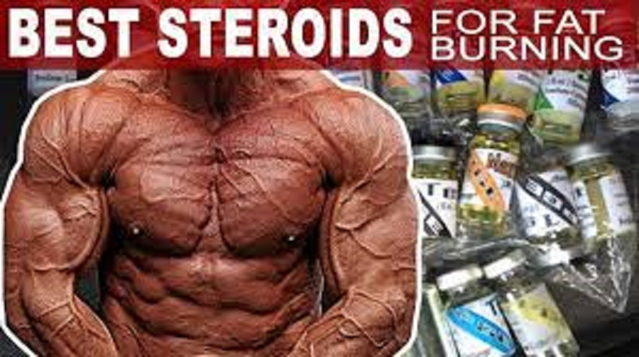 5 Best Steroids For Fat Loss